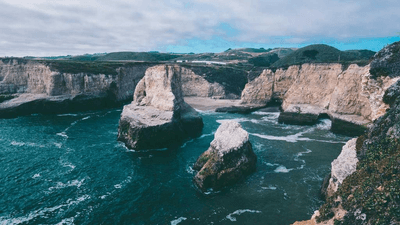 Beagle - professional stock photography