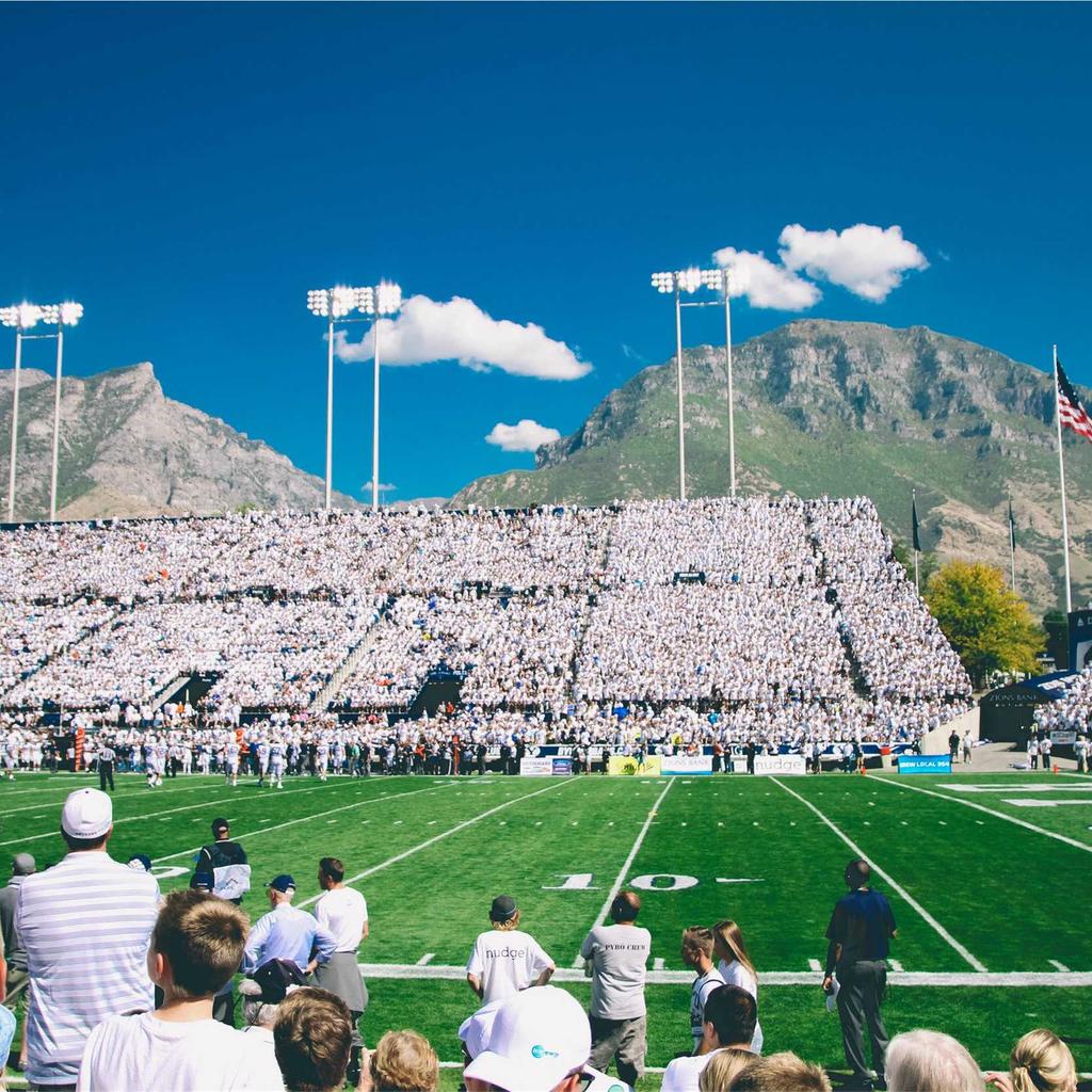Bird - professional stock photography