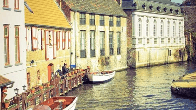 Bird - professional stock photography