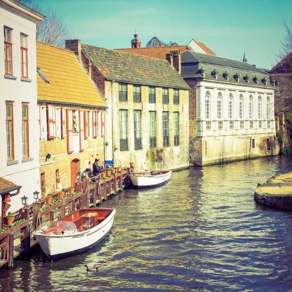 Bird - professional stock photography