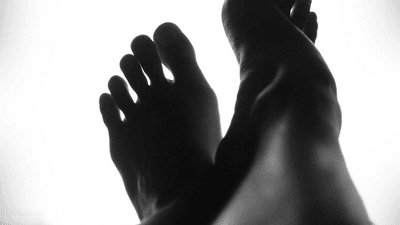 Bird - professional stock photography