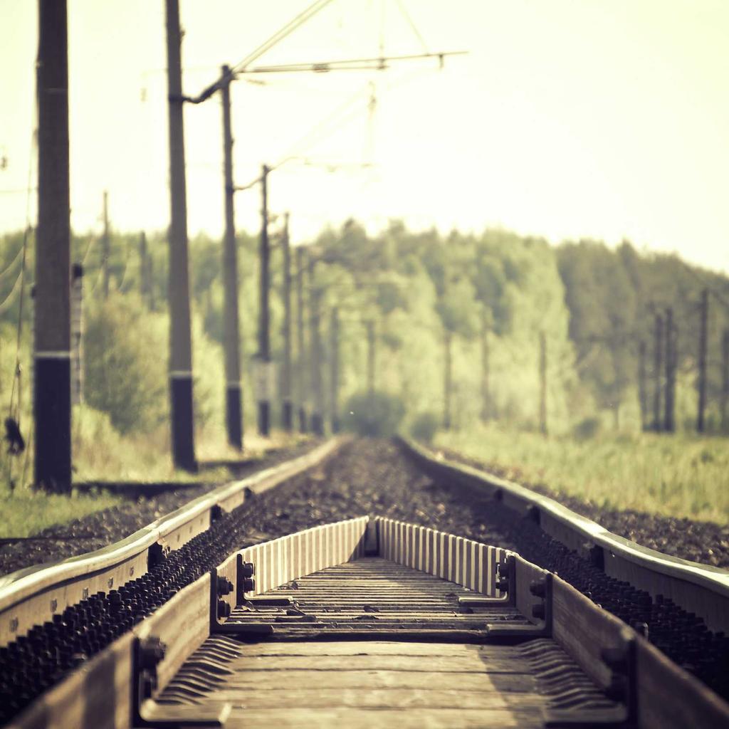 Corgi - professional stock photography