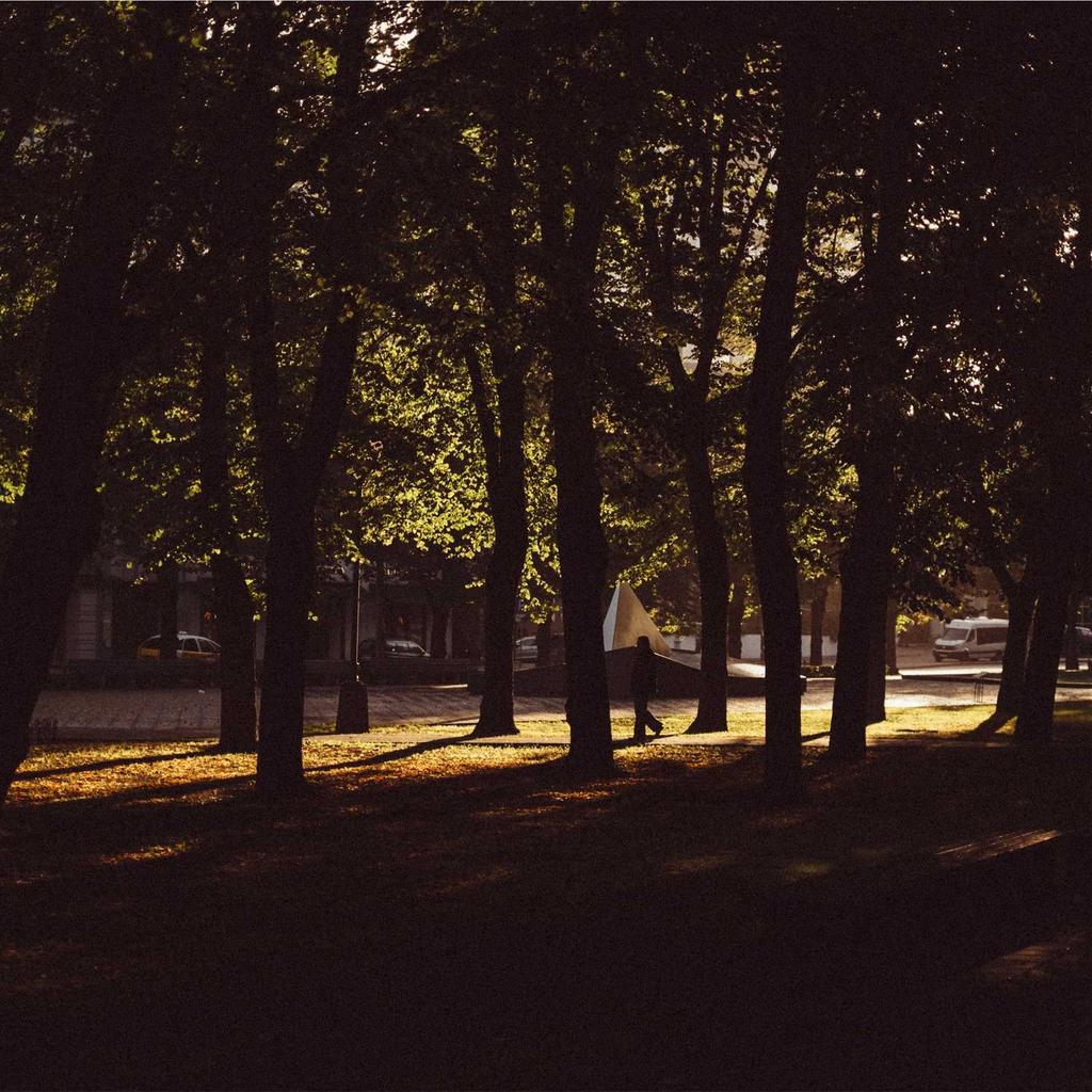 Corgi - professional stock photography