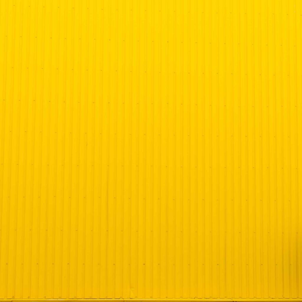 Corgi - professional stock photography