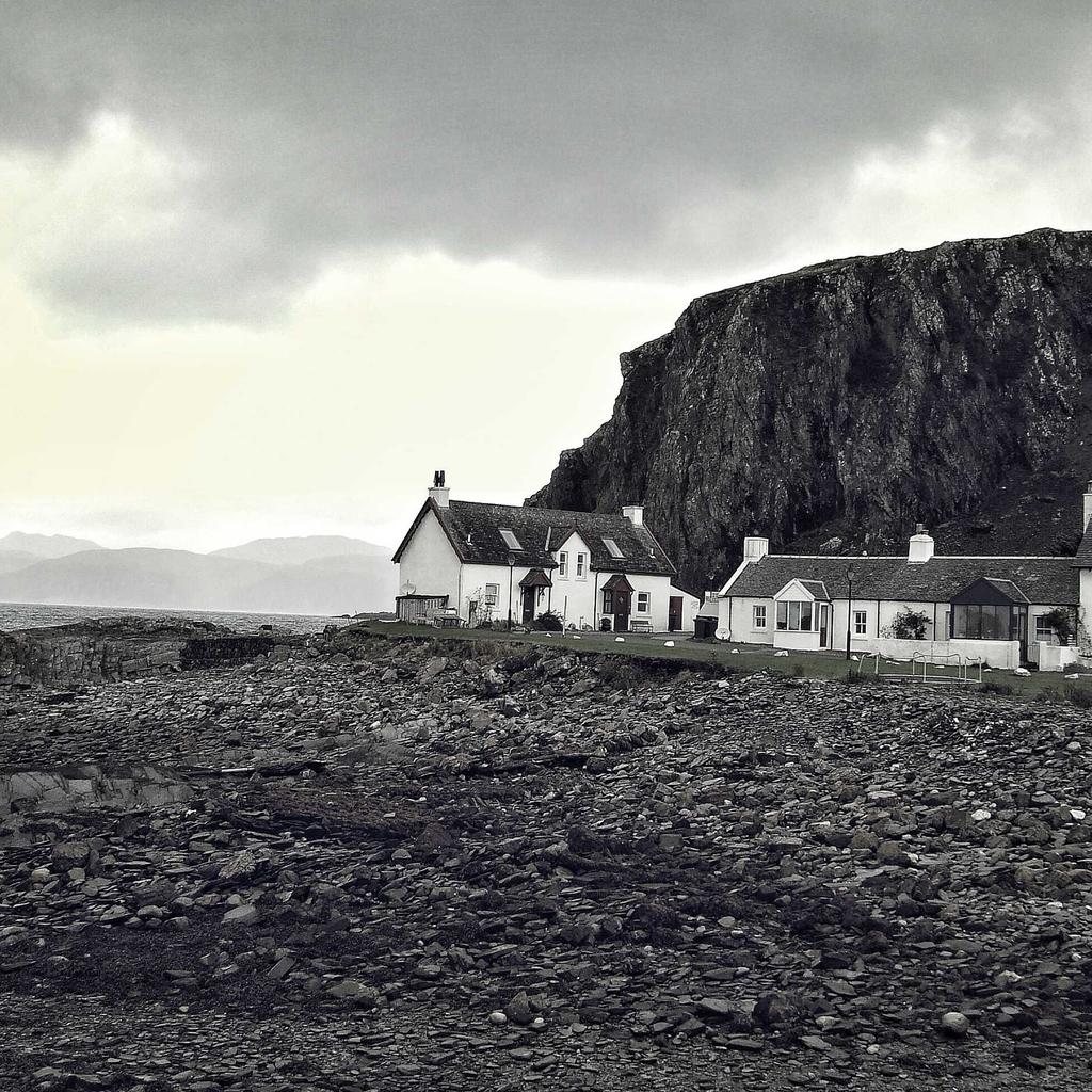 Dog - professional stock photography