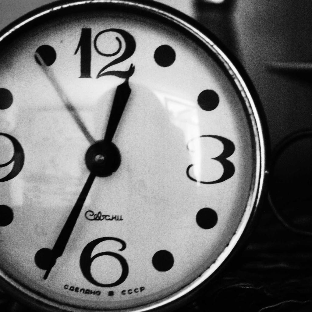 Fish - professional stock photography