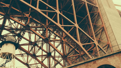 Hamster - professional stock photography