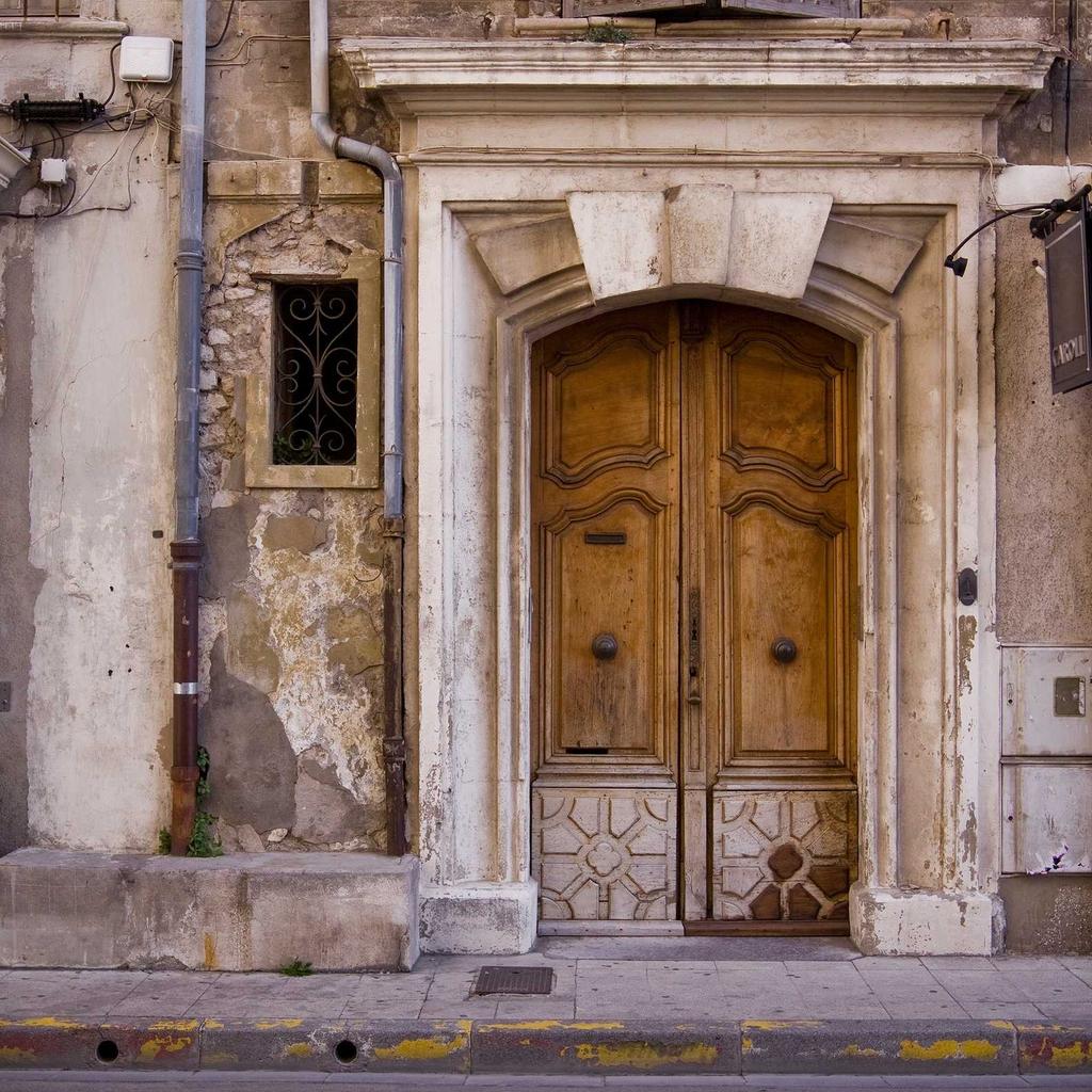 Husky - professional stock photography