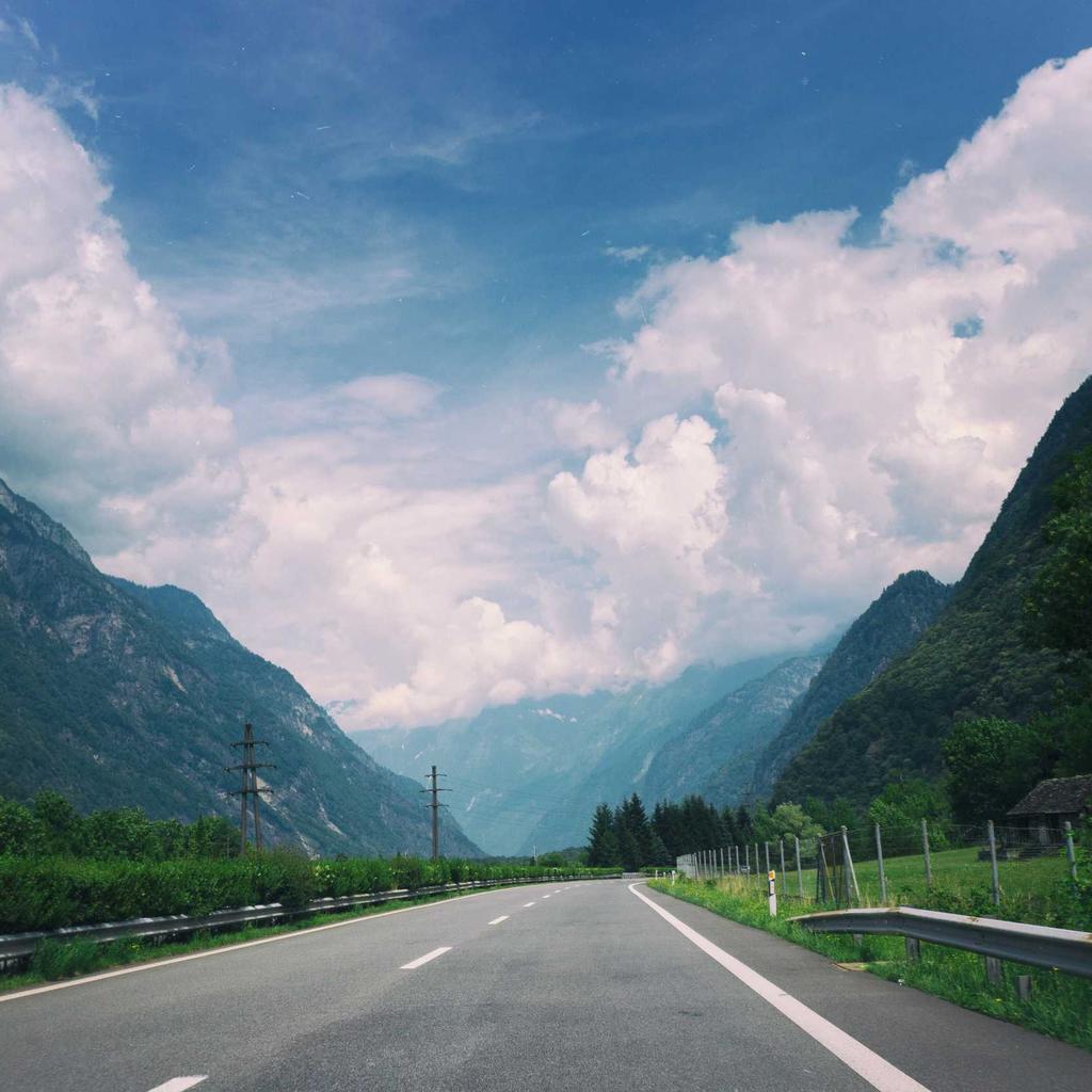 Husky - professional stock photography