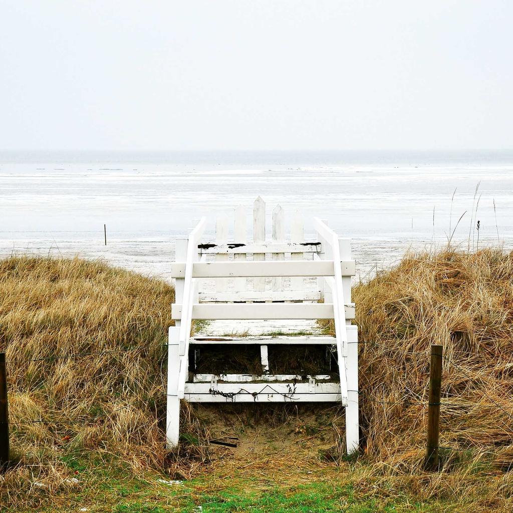 Husky - professional stock photography