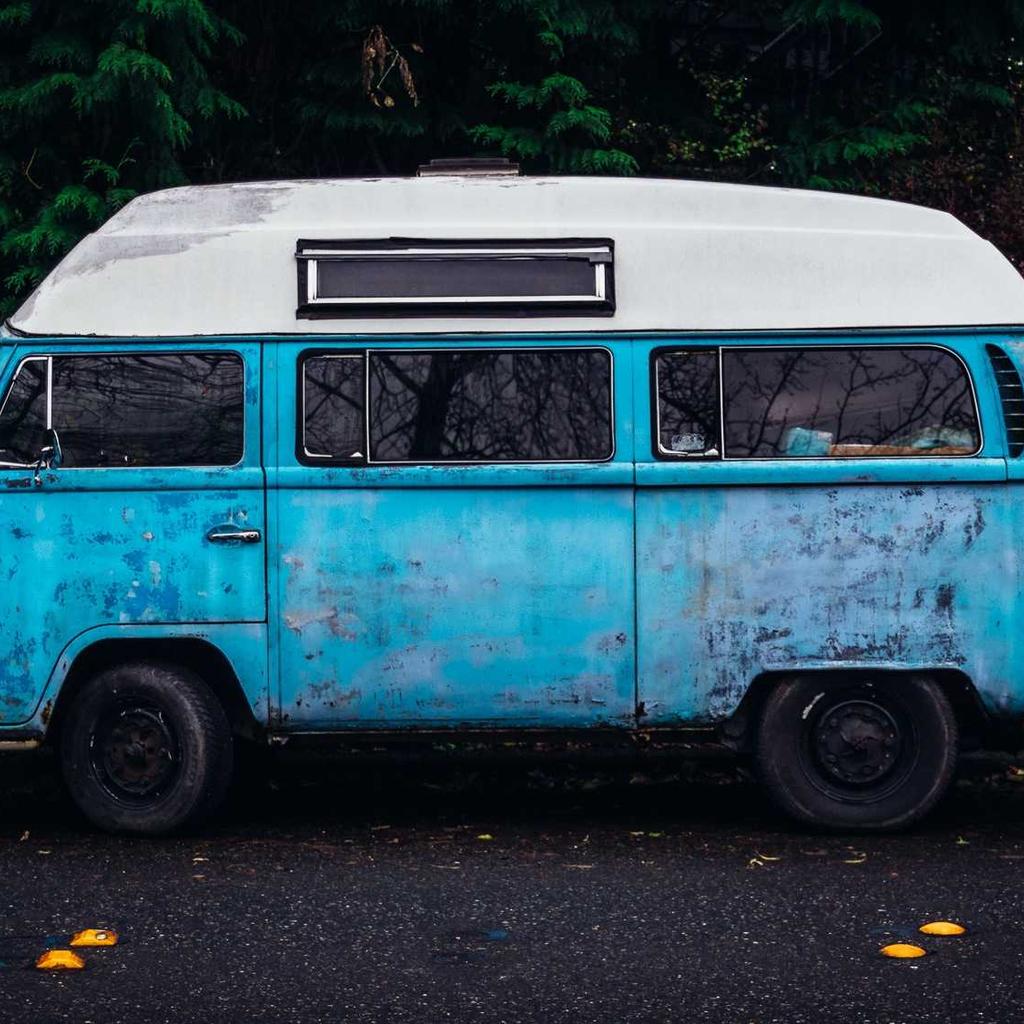 Husky - professional stock photography