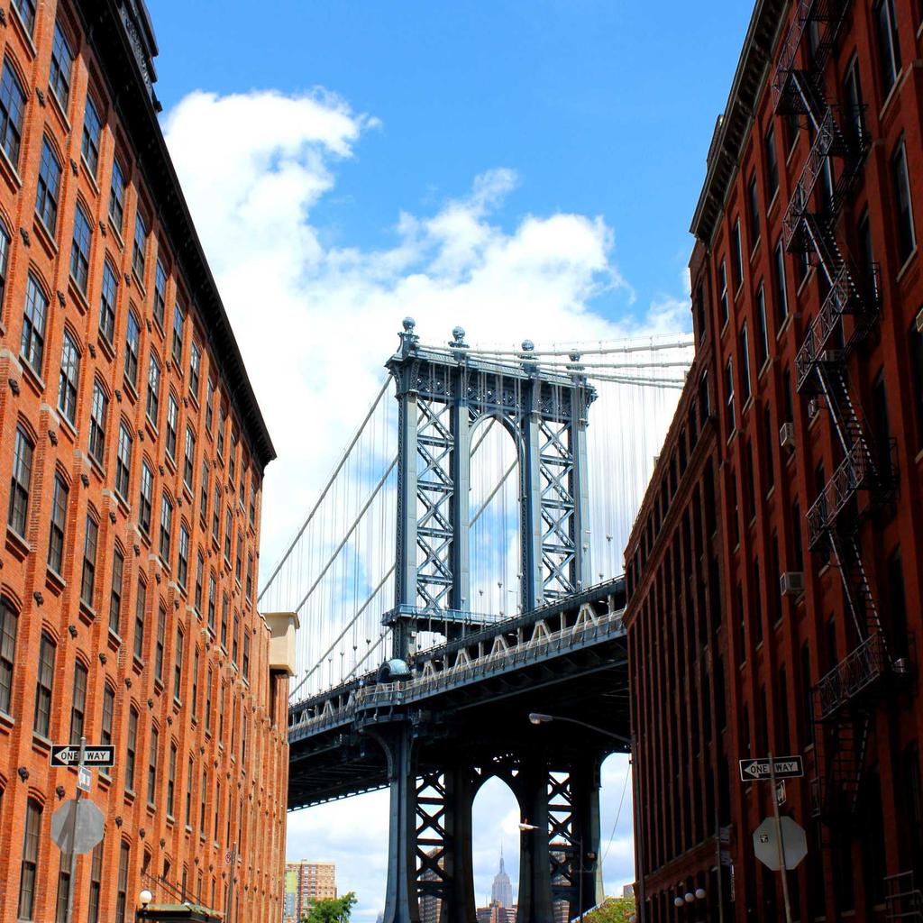 Kitten - professional stock photography