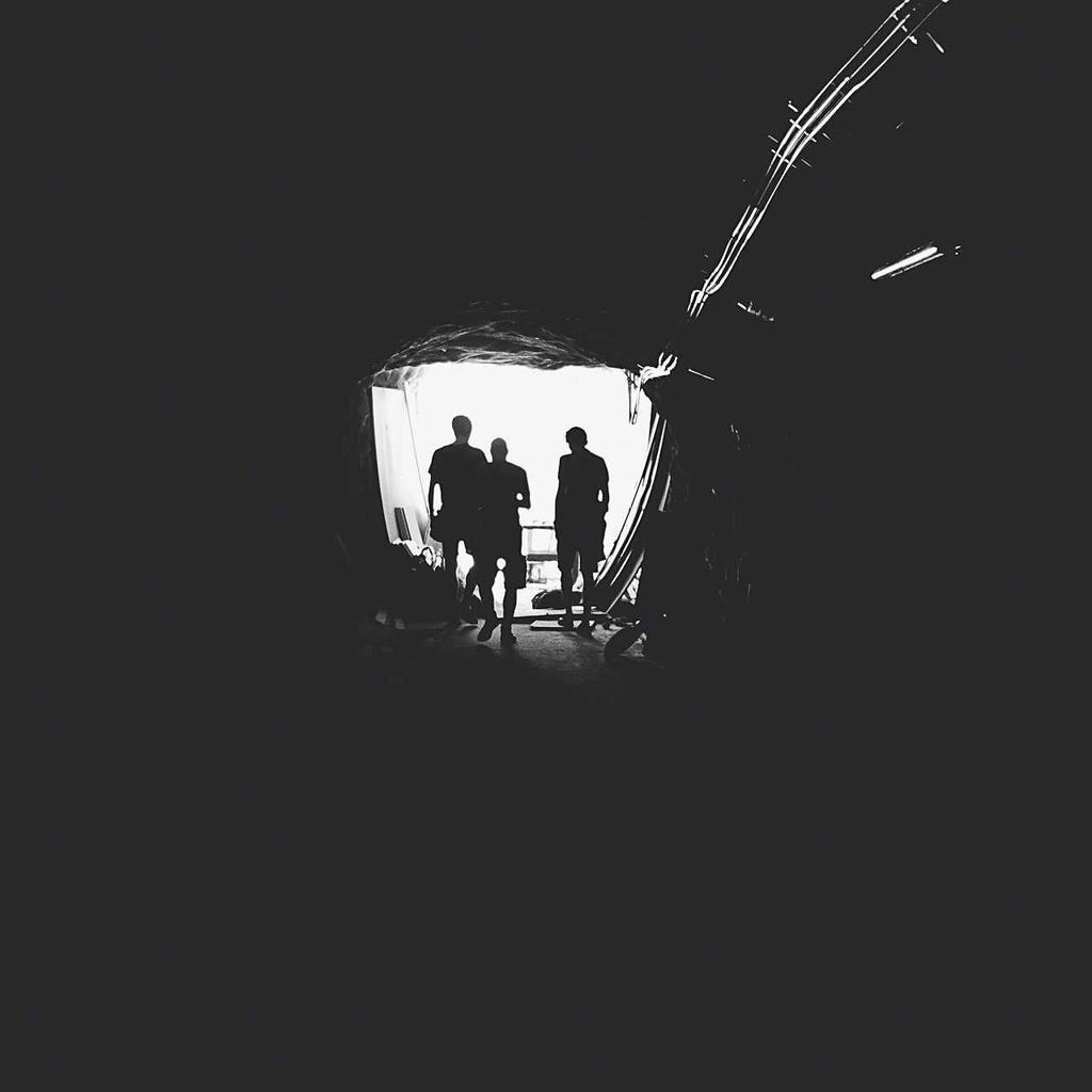 Maine Coon - professional stock photography