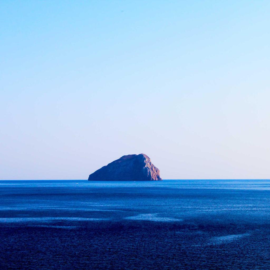 Maine Coon - professional stock photography
