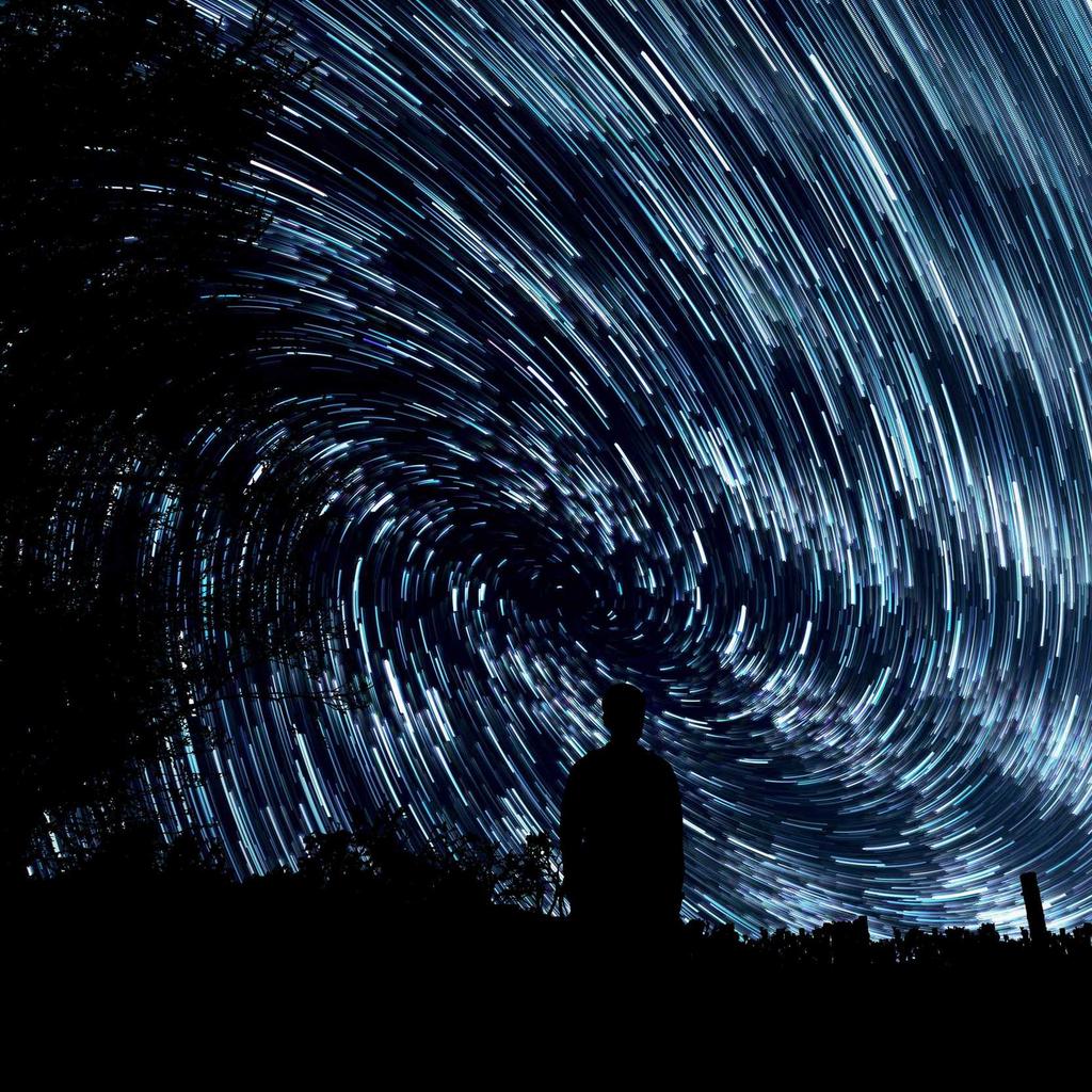 Maine Coon - professional stock photography