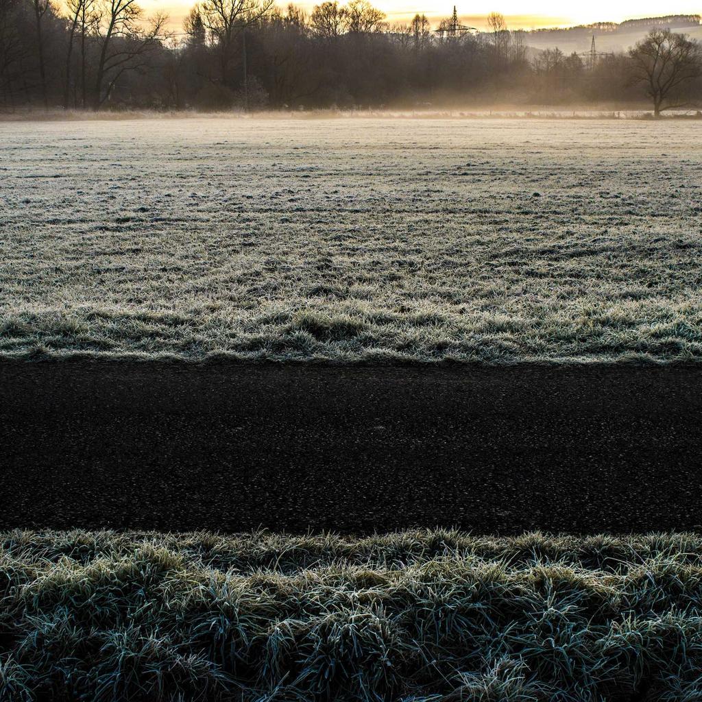 Persian - professional stock photography