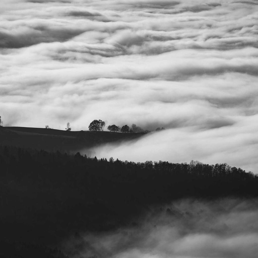 Persian - professional stock photography