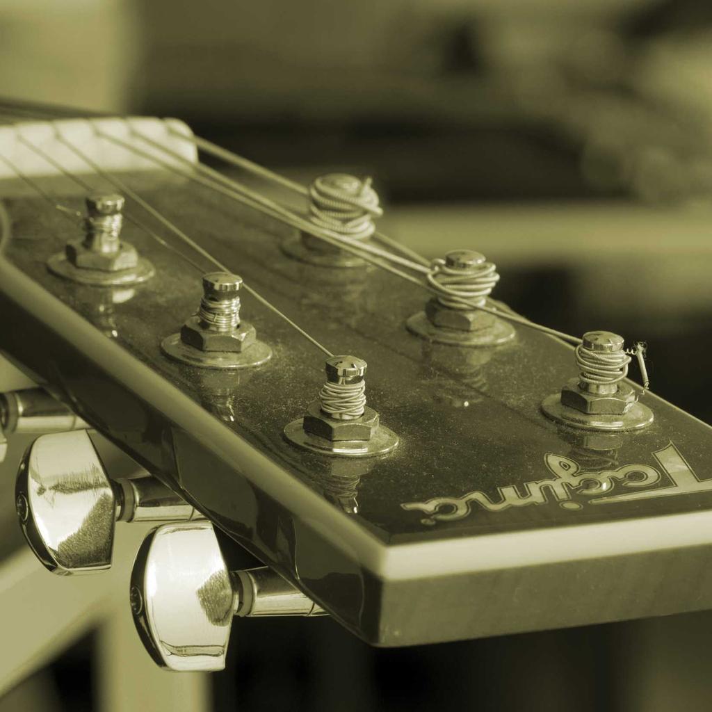 Poodle - professional stock photography