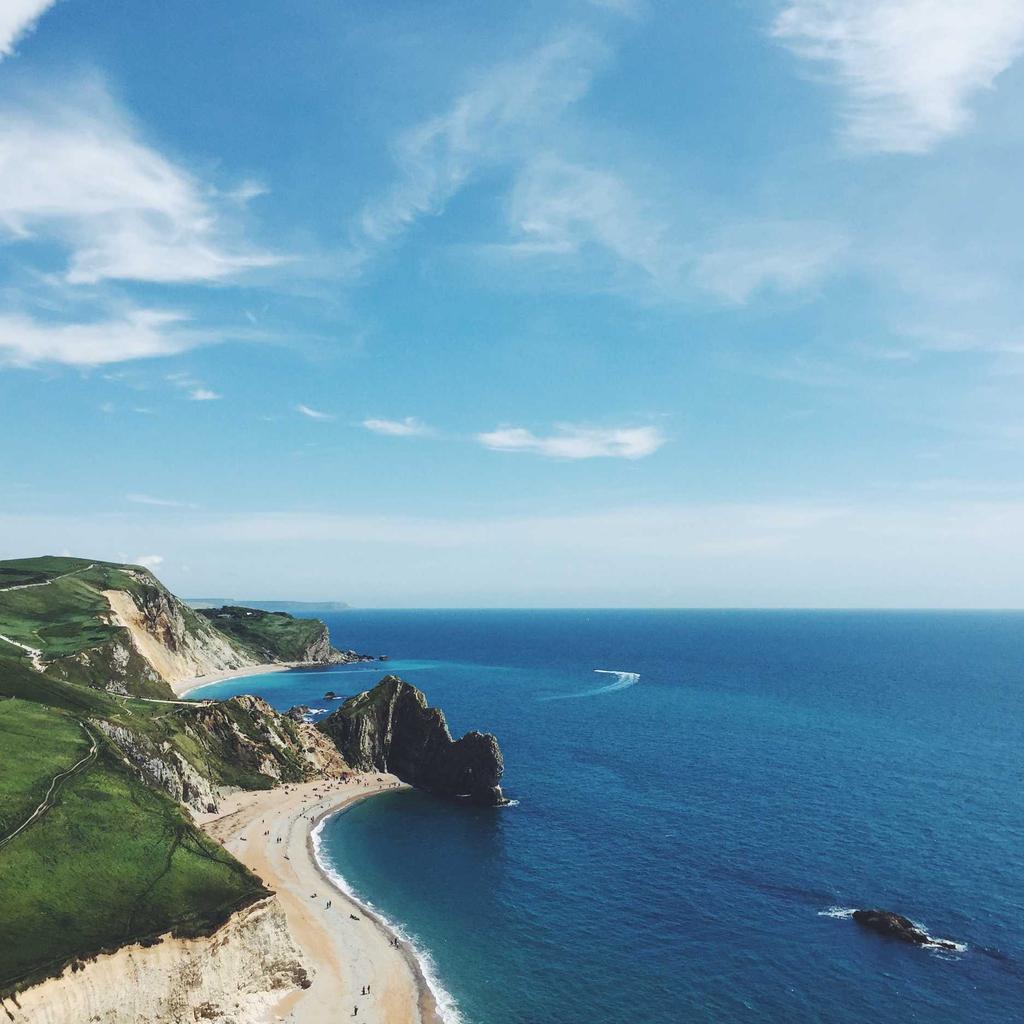 Puppy - professional stock photography