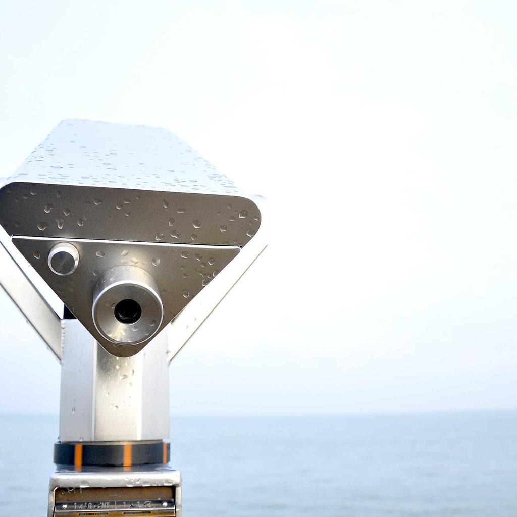 Puppy - professional stock photography