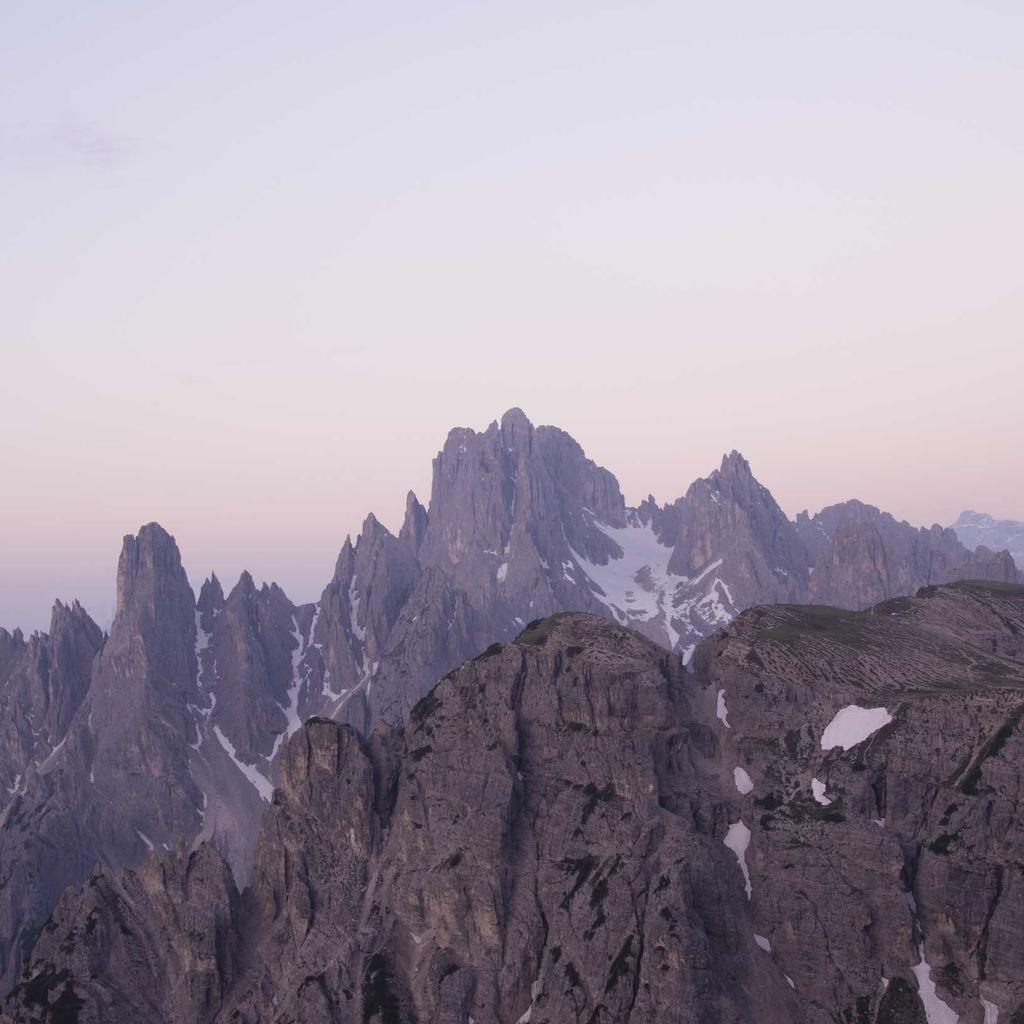 Puppy - professional stock photography