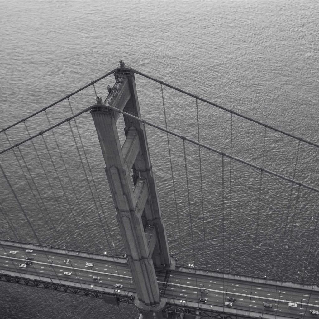 Rabbit - professional stock photography