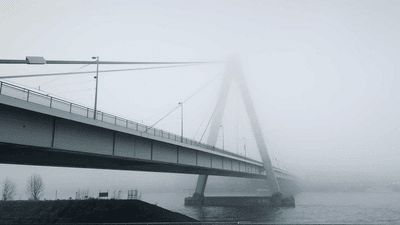 Tabby - professional stock photography