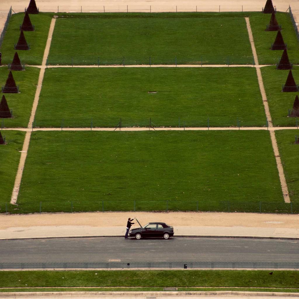 Tabby - professional stock photography