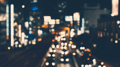 Tabby - professional stock photography